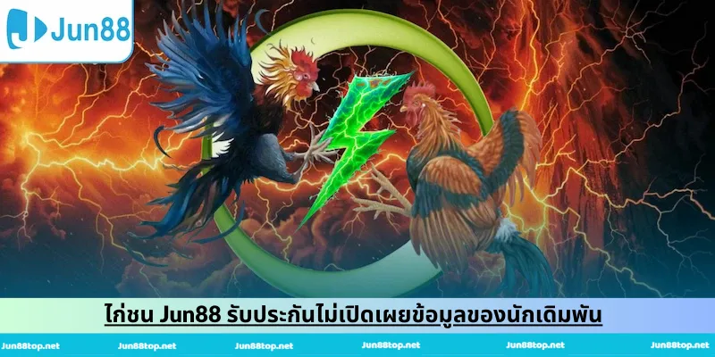 ไก่ชน Jun88 รับประกันไม่เปิดเผยข้อมูลของนักเดิมพัน